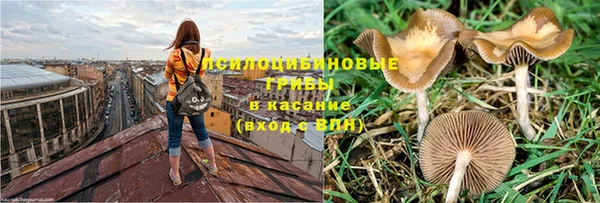 марихуана Володарск